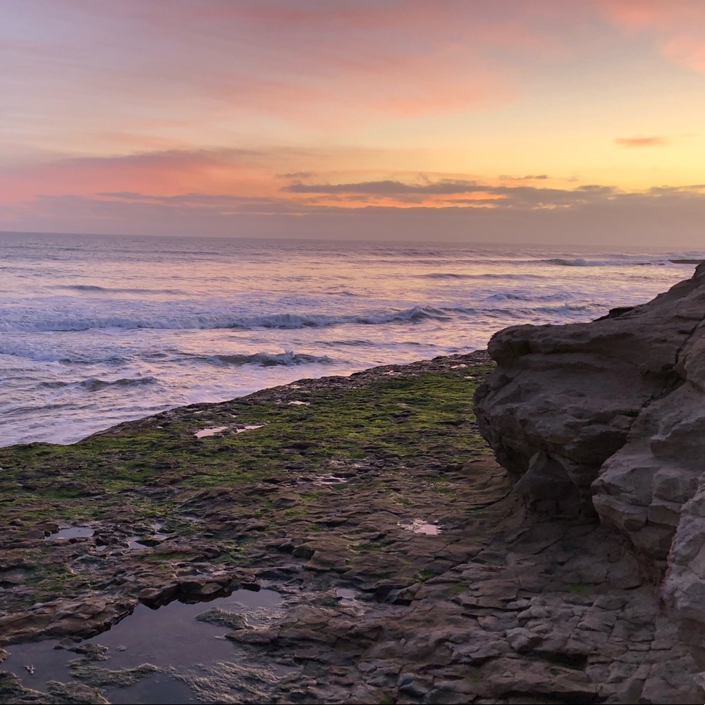 Meet your Posher, Karina